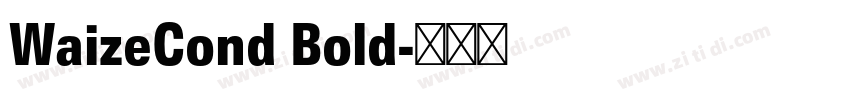 WaizeCond Bold字体转换